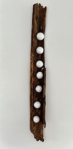 La fève<br>