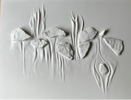 Méduses<br> (commande)<br>